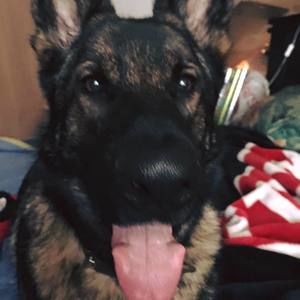 Meet your Posher, Rene